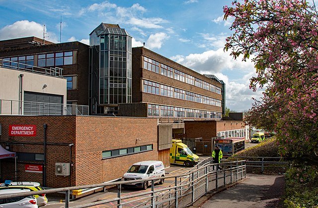 royalsurrey