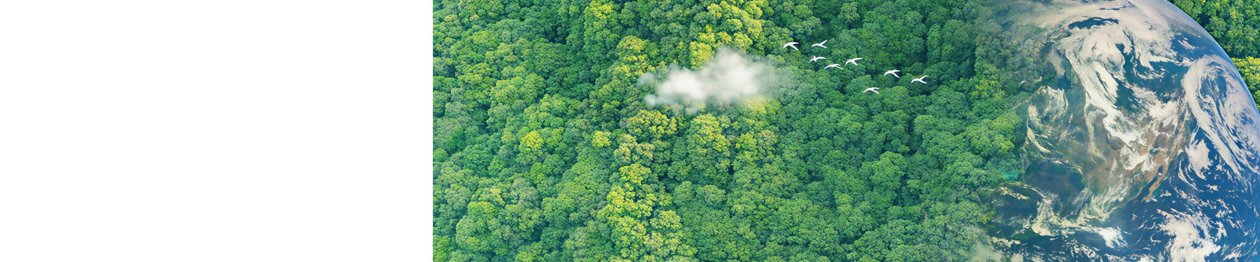 Lush forest with Earth and birds.