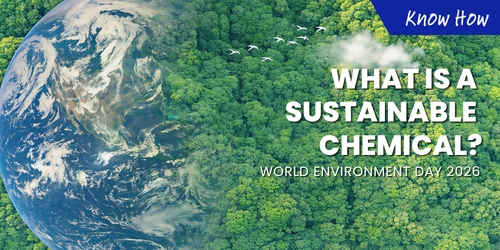 World environment Day 2026 2