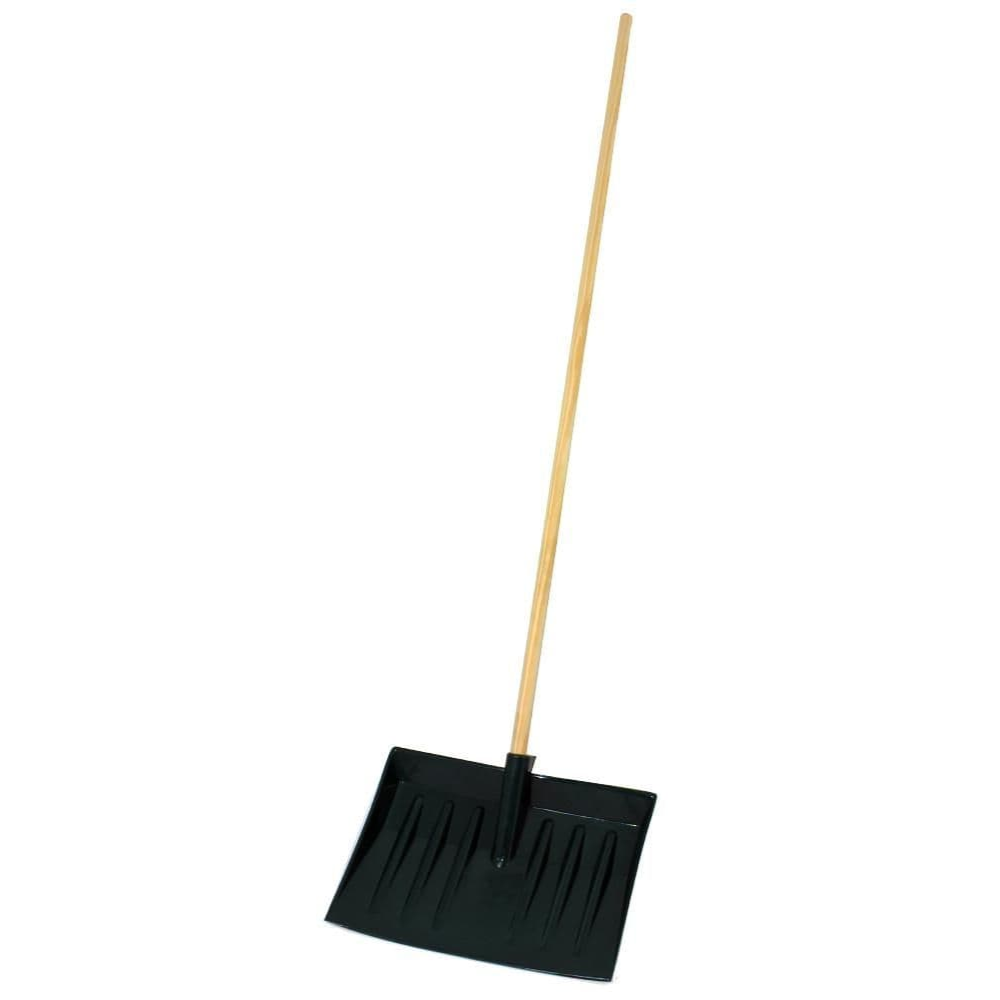 42 03420Image