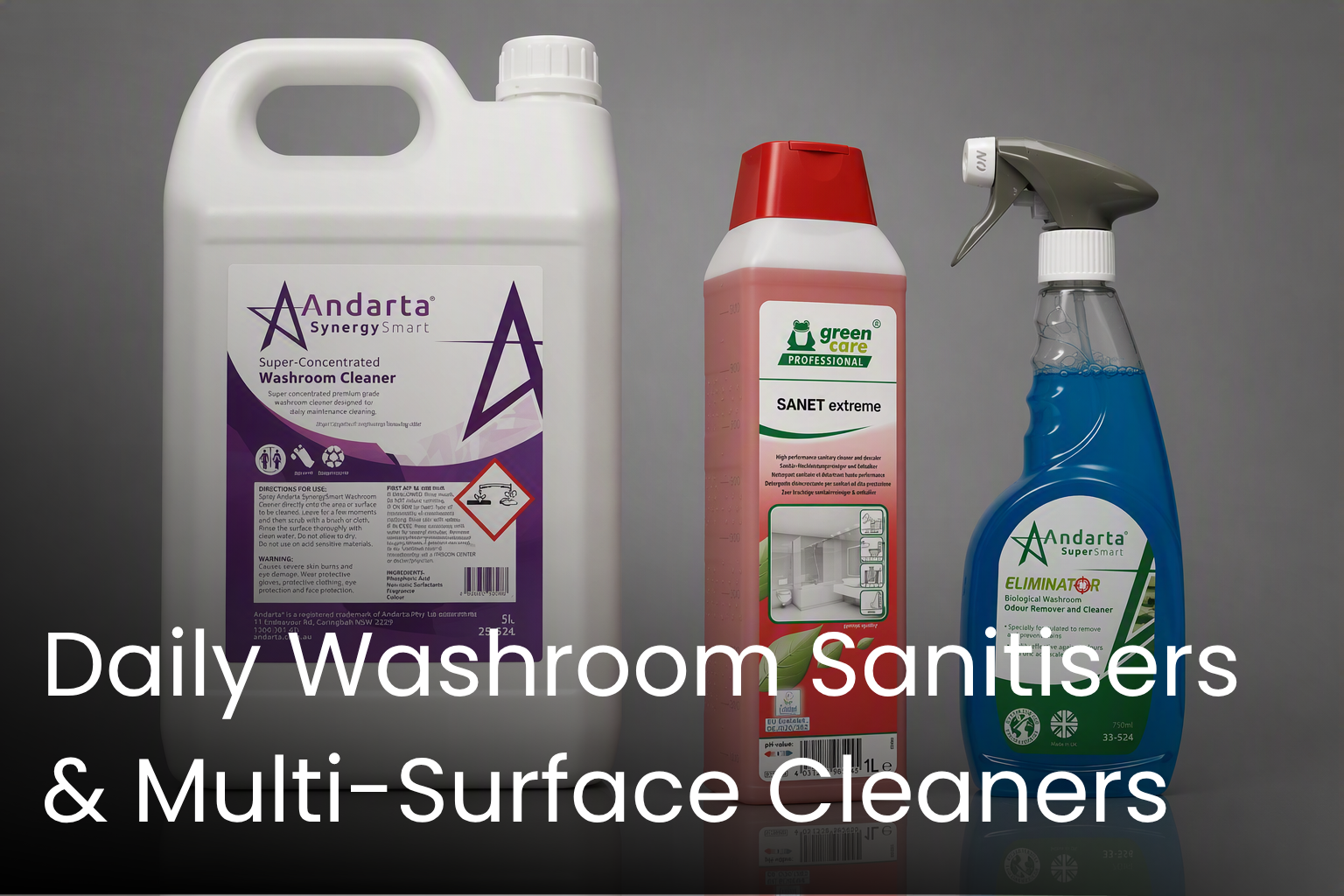 Daily Washroom Sanitisers Multi Surface Cleaners